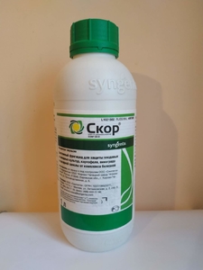 Скор КЭ Фунгицид Syngenta 100 мл фасовка