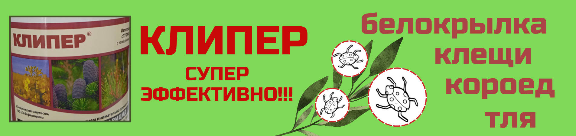 Клипер 