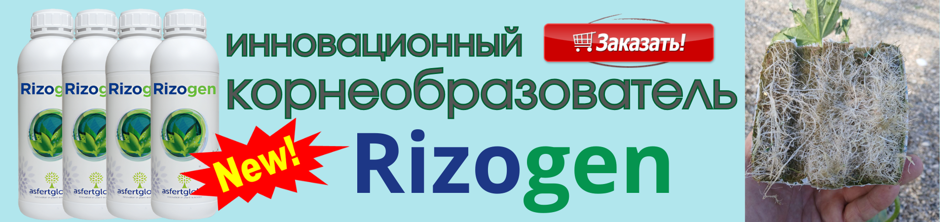 Ризоджен